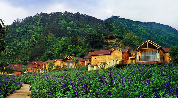 盤龍峽生態(tài)旅游區(qū)木屋旅游規(guī)劃與白色風(fēng)車、紫色花海相融相襯