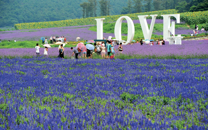 旅游策劃/旅游規(guī)劃設計智庫：北京藍調莊園